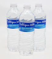 Bottle of Water